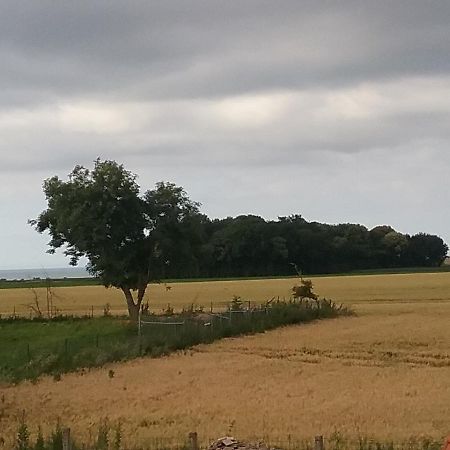 Cottage B2 Bazenville Bagian luar foto