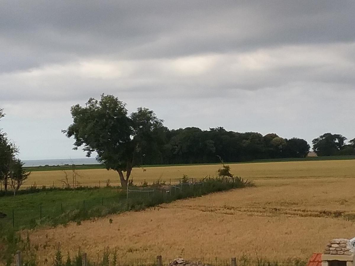 Cottage B2 Bazenville Bagian luar foto
